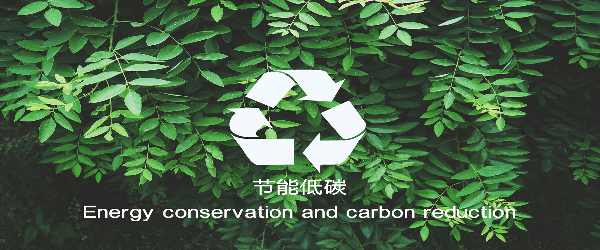 尊龙时凯·Z6(中国区)人生就是拼搏!